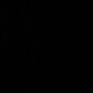 Meet your Posher, Gisselle